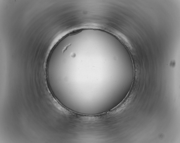 X0000090751192200708101718