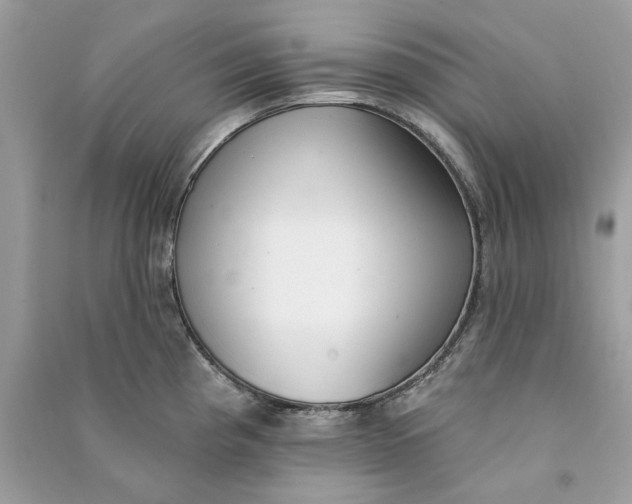 X0000090751193200708101718