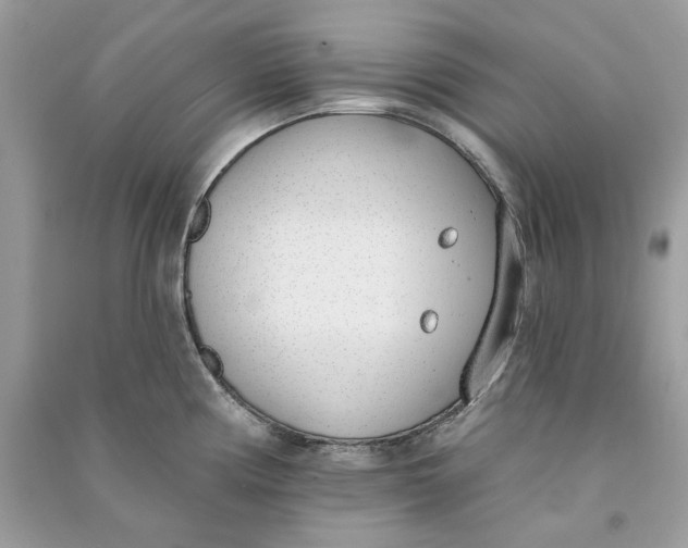 X0000090751194200708101718