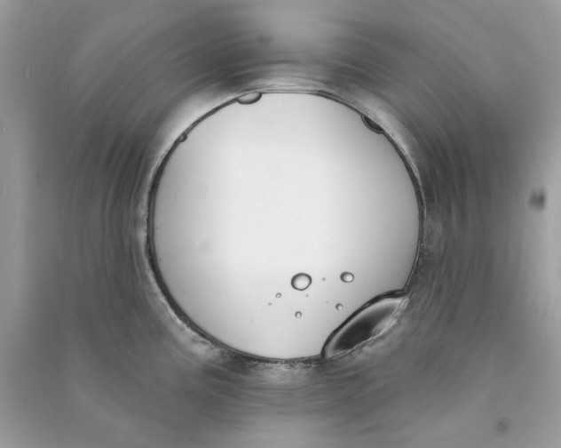 X0000090751195200708101718