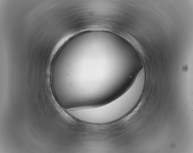 X0000090751196200708101718