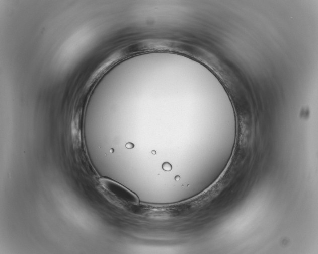 X0000090751198200708101718