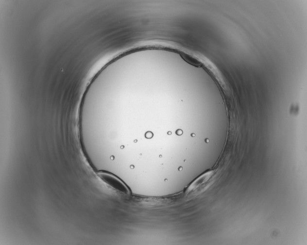 X0000090751199200708101718