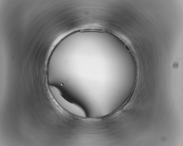 X0000090751200200708101718