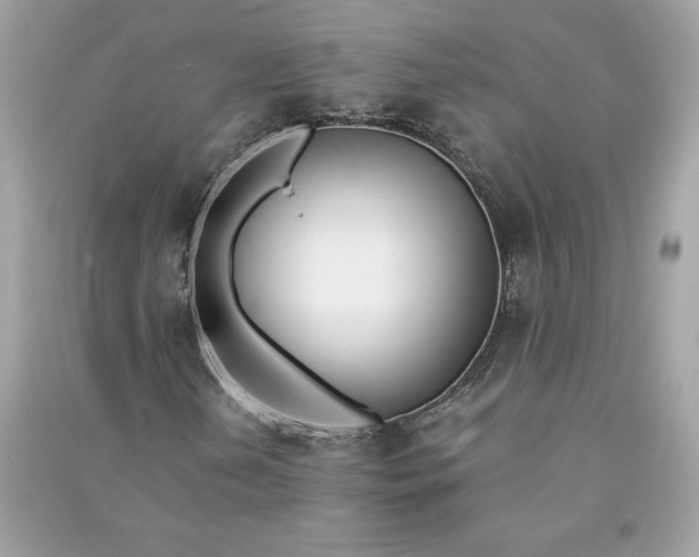 X0000090751202200708101717