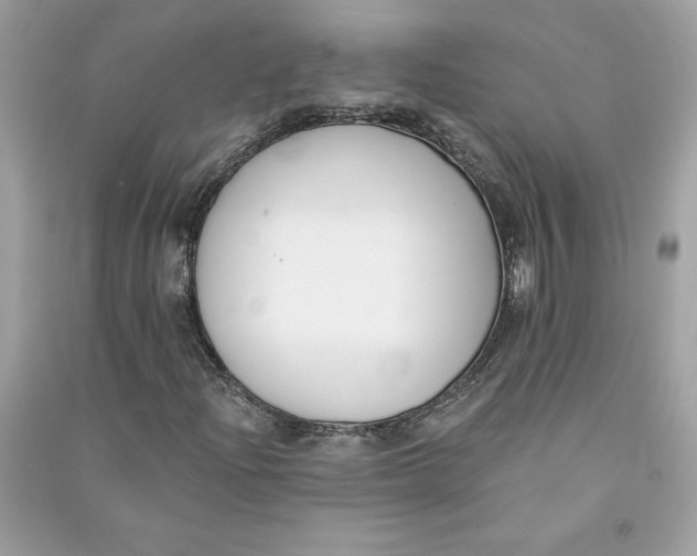 X0000090751204200708101717