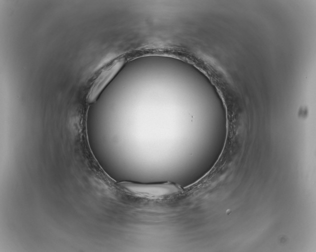 X0000090751206200708101717