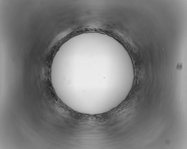 X0000090751207200708101717