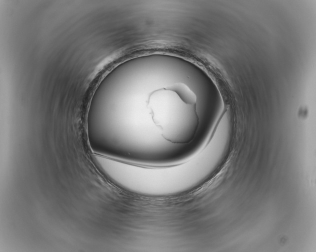 X0000090751210200708101717