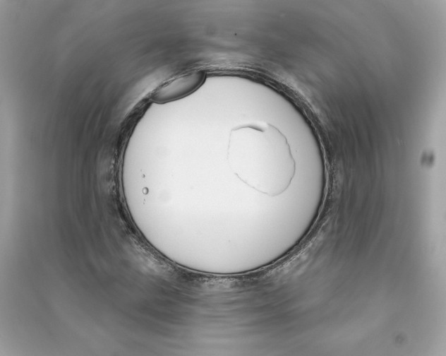 X0000090751211200708101717