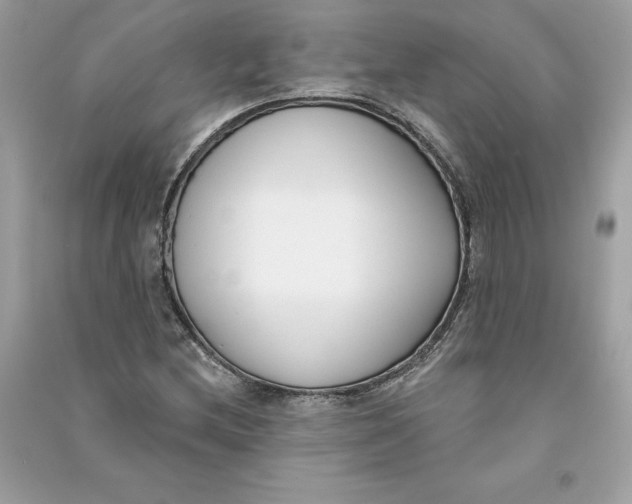 X0000090751212200708101717