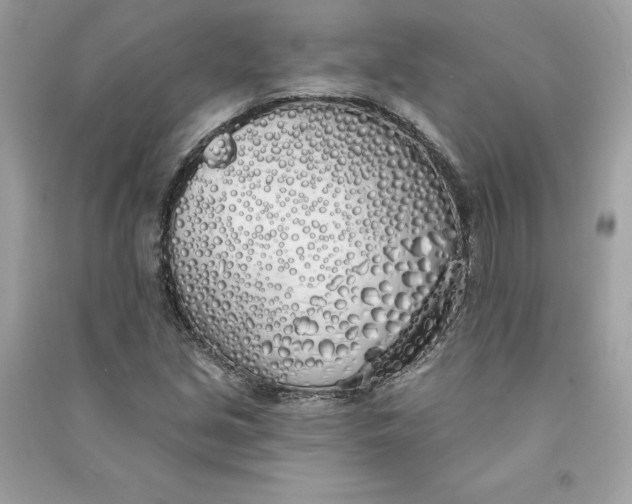 X0000090751213200708101717