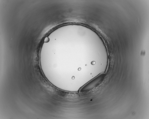 X0000090751215200708101717