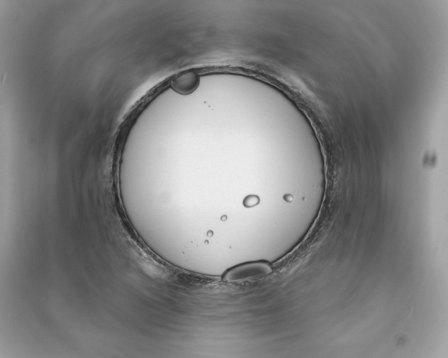 X0000090751216200708101717