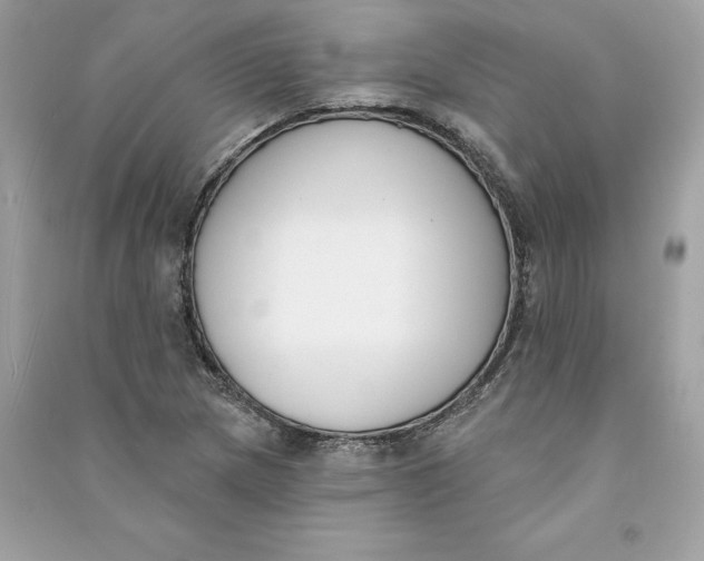 X0000090751217200708101717