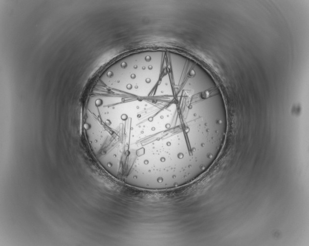 X0000090751219200708101718