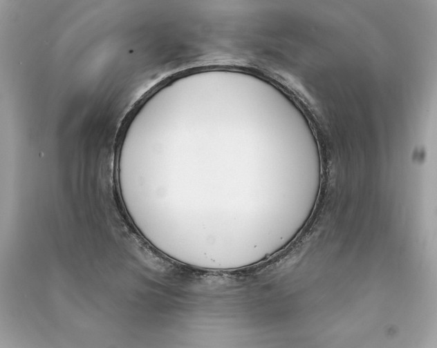 X0000090751220200708101718