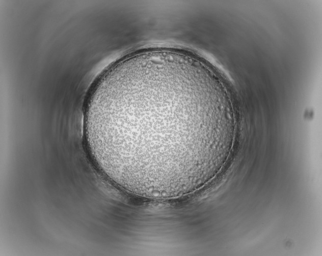 X0000090751221200708101718