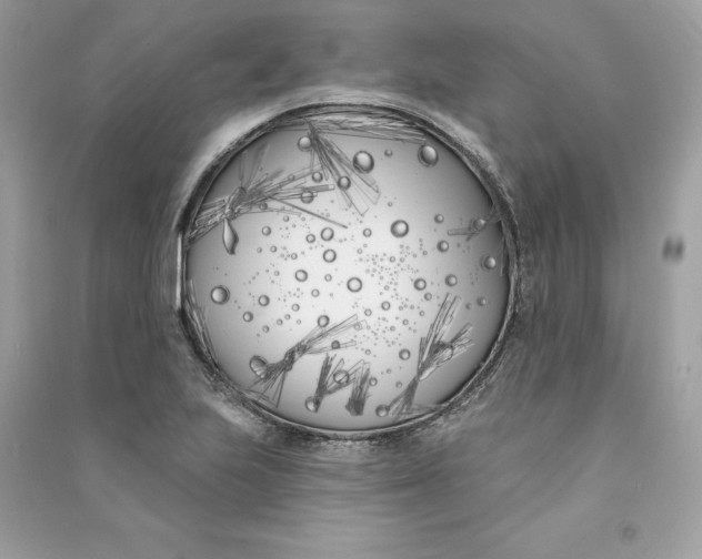 X0000090751223200708101718