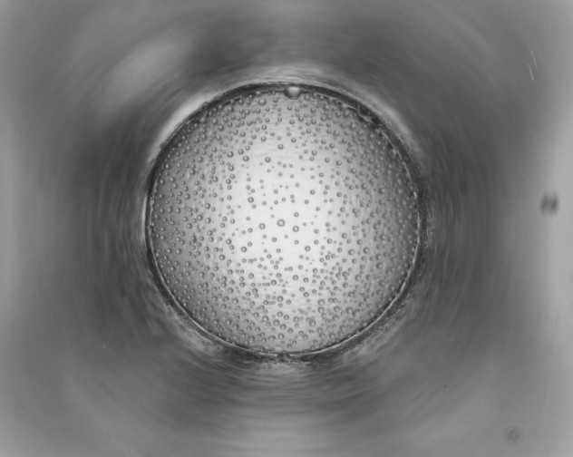 X0000090751224200708101718