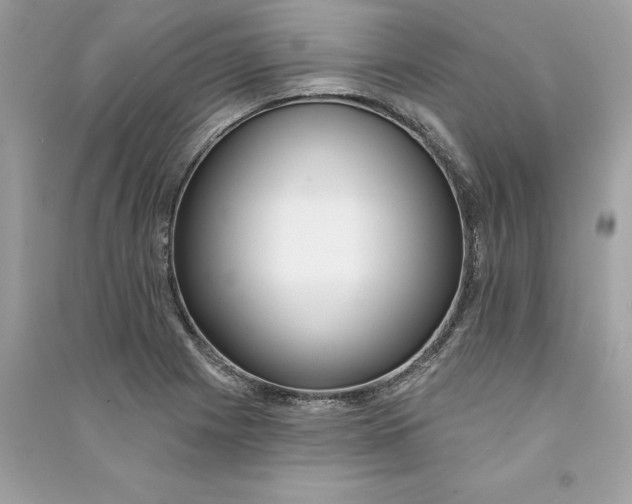 X0000090751225200708101718