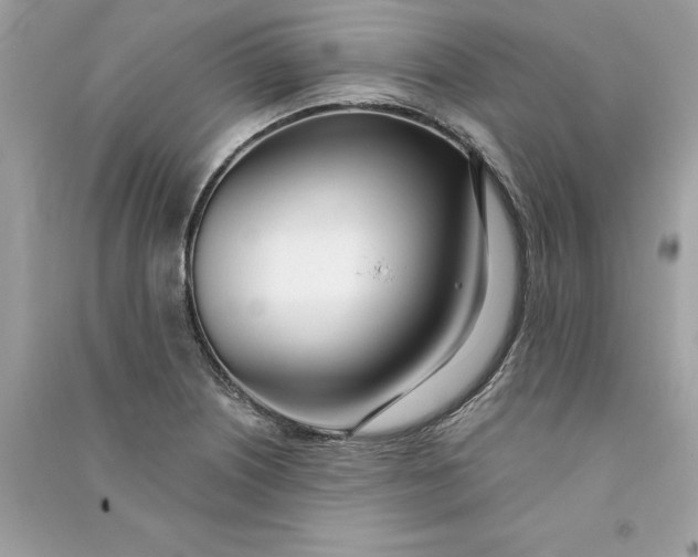 X0000090751226200708101718