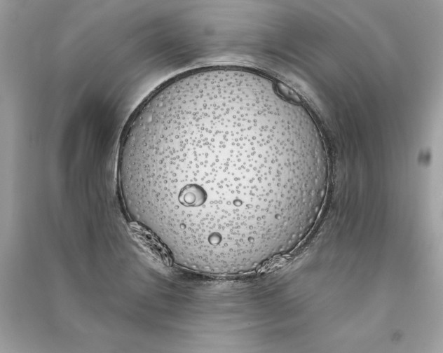 X0000090751228200708101718