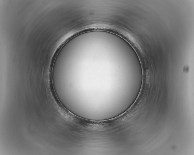 X0000090751229200708101718