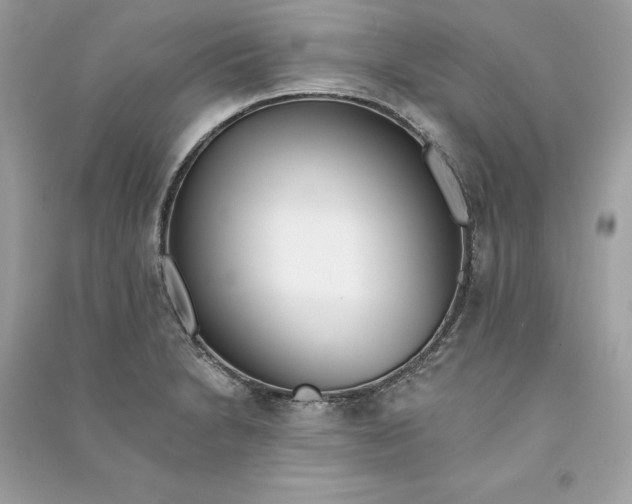 X0000090751230200708101718