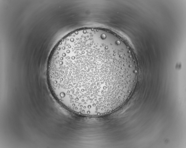 X0000090751231200708101718