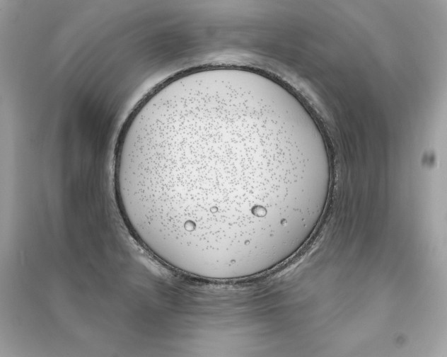 X0000090751232200708101718