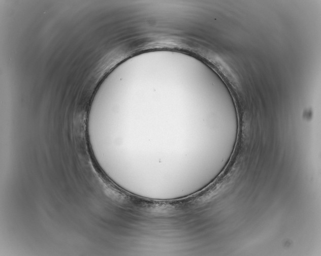 X0000090751233200708101718