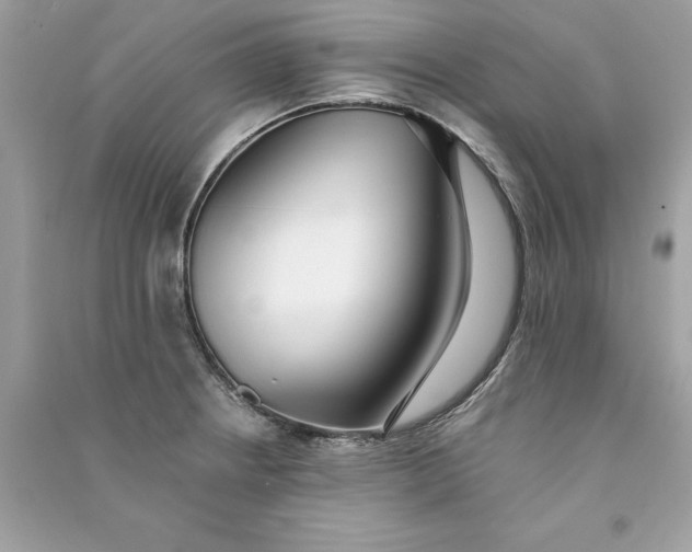 X0000090751234200708101718