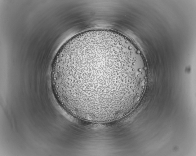 X0000090751235200708101718