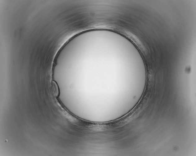 X0000090751236200708101718