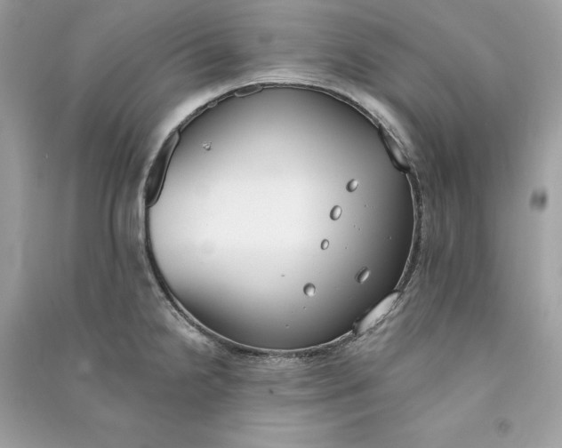 X0000090751238200708101718