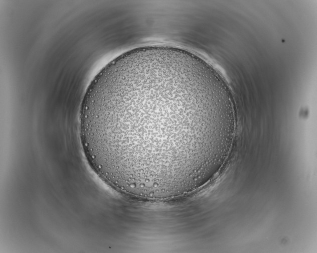 X0000090751239200708101718