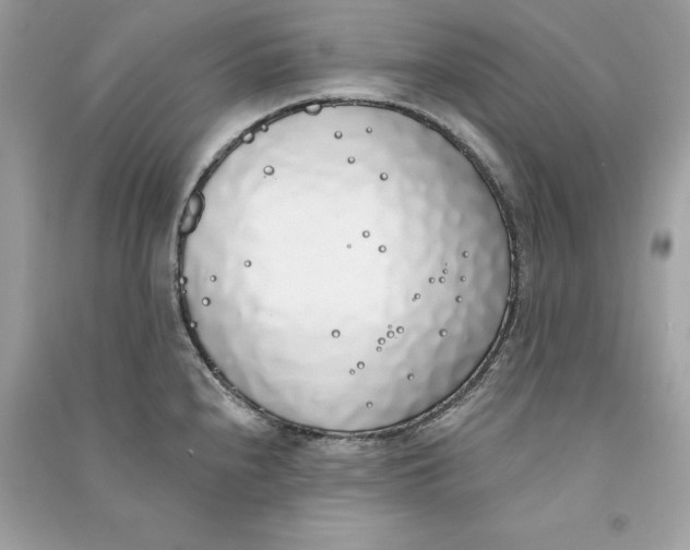 X0000090751240200708101718