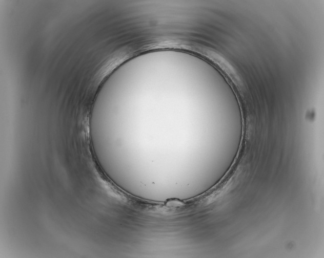 X0000090751241200708101718