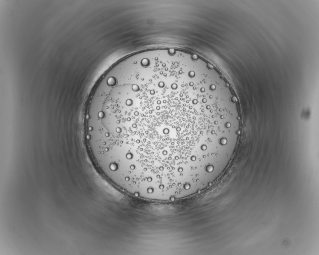 X0000090751243200708101718