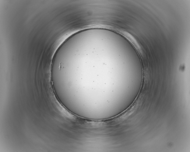 X0000090751244200708101718