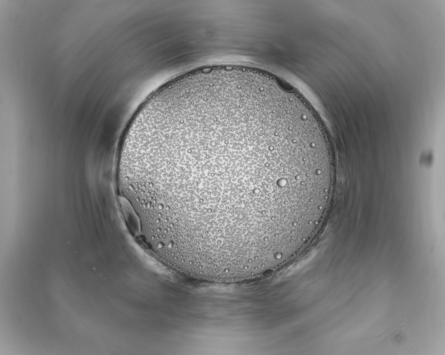 X0000090751245200708101718