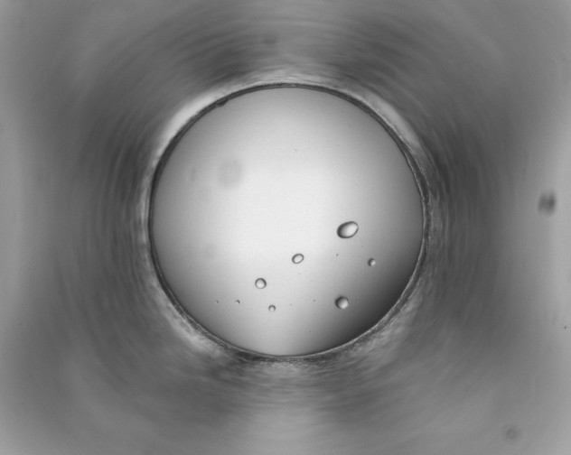 X0000090751246200708101718