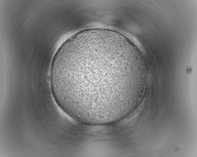 X0000090751247200708101718