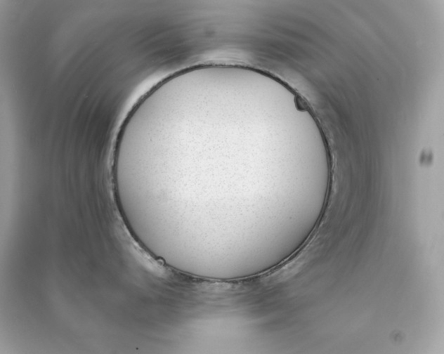 X0000090751248200708101718