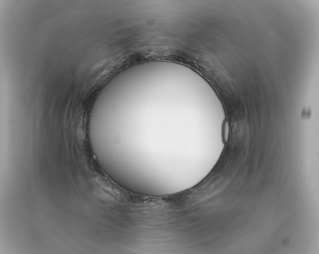 X0000090751250200708101717