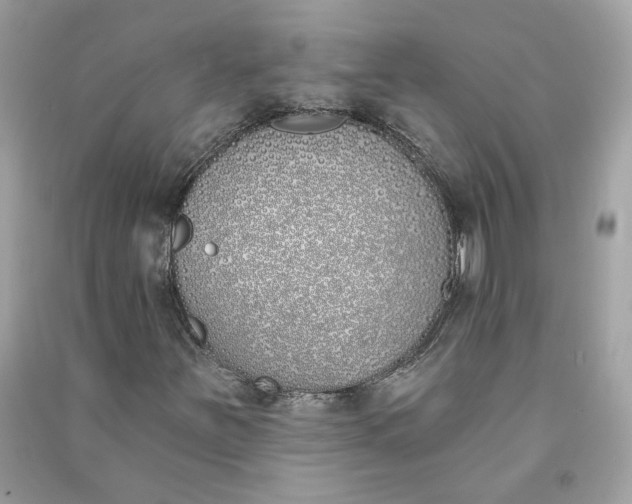 X0000090751251200708101717