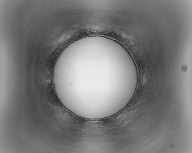 X0000090751253200708101717