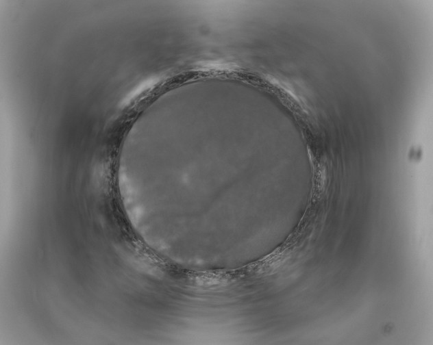 X0000090751254200708101717