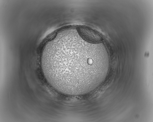 X0000090751255200708101717